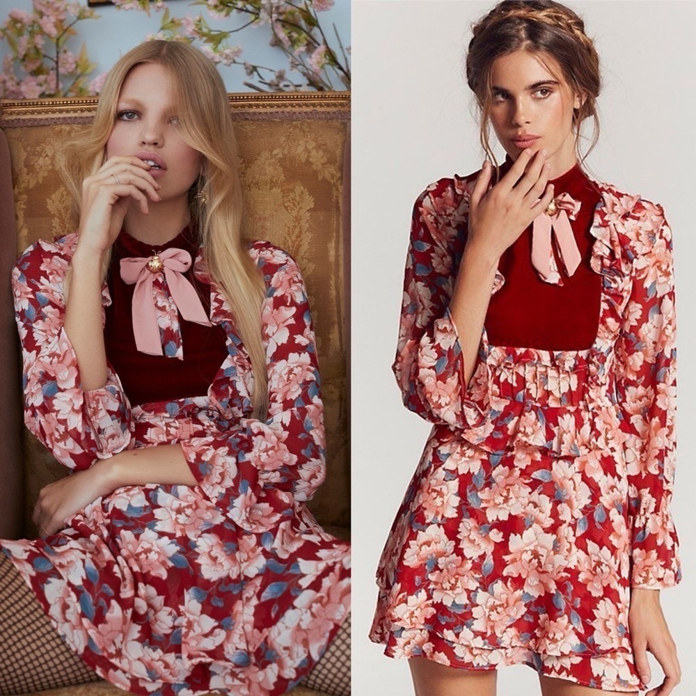 For Love & Lemons Blossom Chiffon Velvet Rose Floral Print Mini Dress Size Small